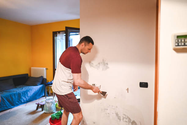 Professional Mold Removal in Bethlehem, PA